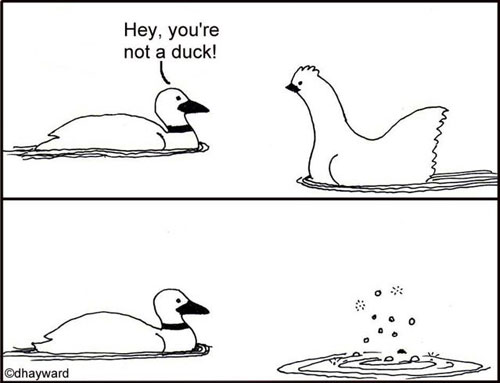 you-are-not-a-duck